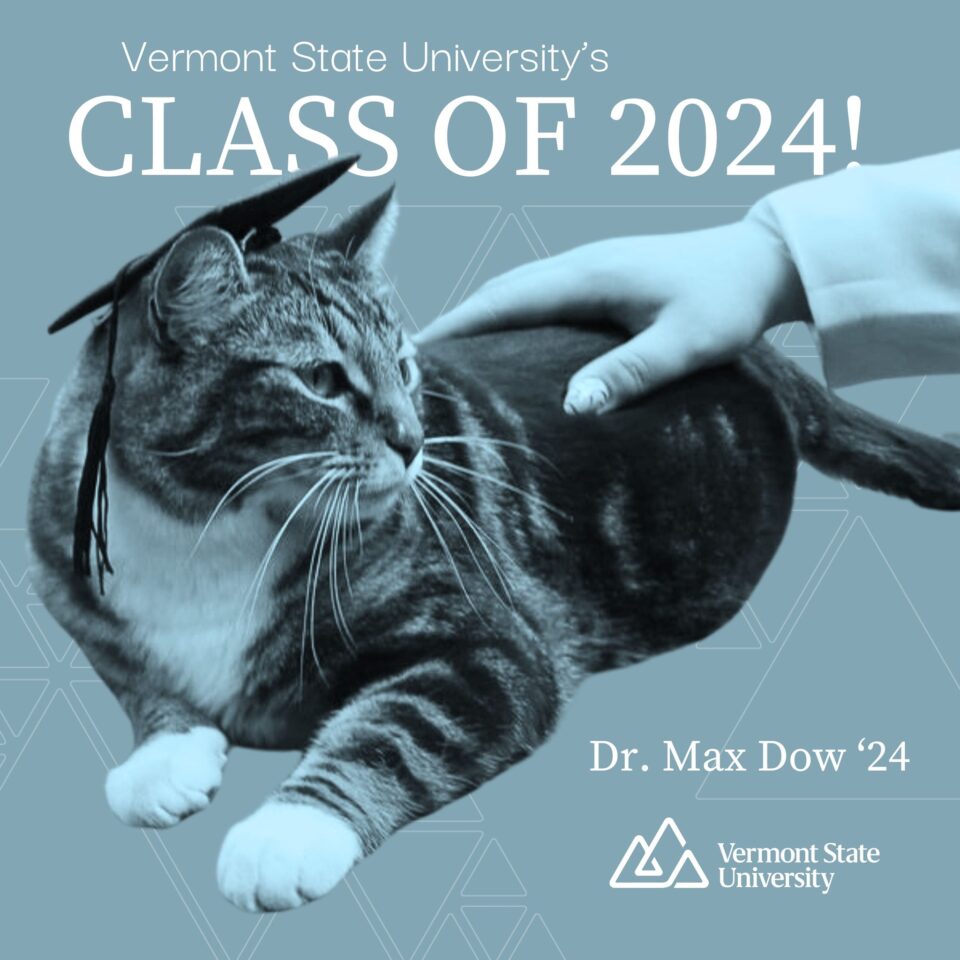 "Max" el gato que recibirá un doctorado honoris causa de una universidad en Vermont