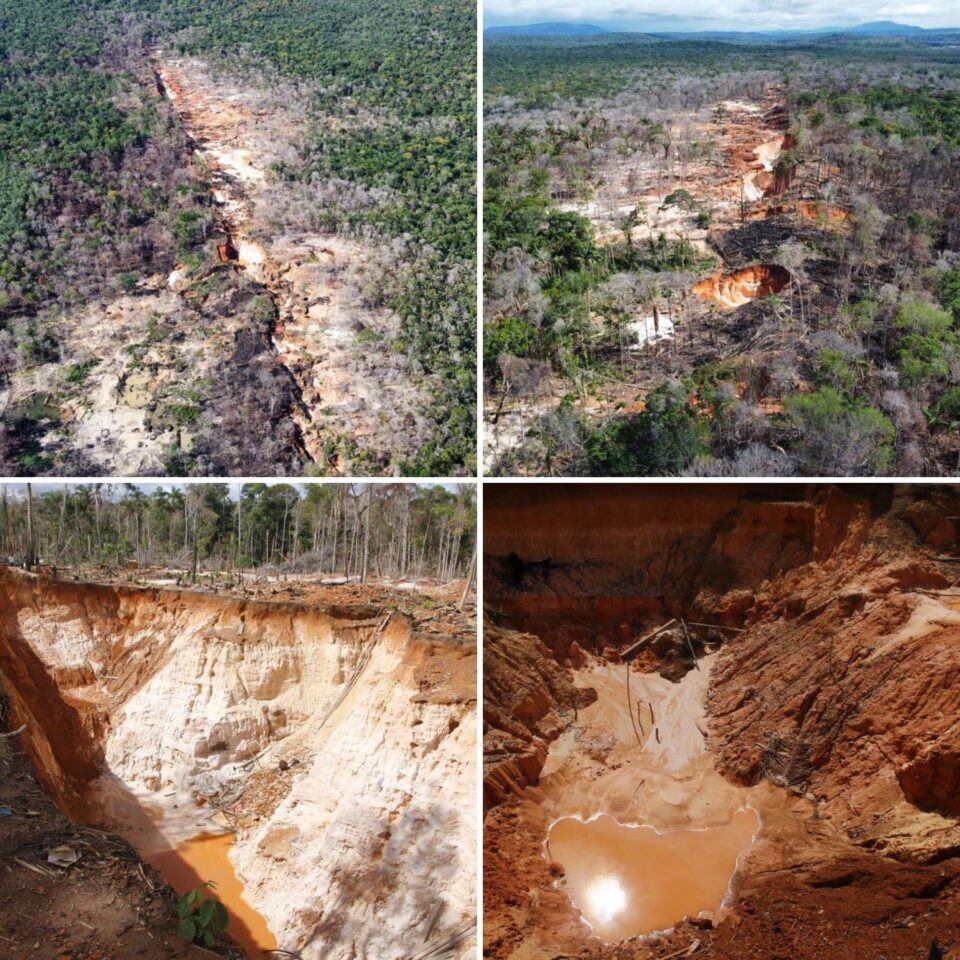 Régimen anunció trabajos de reforestación en la mina ilegal “La Bulla Loca”